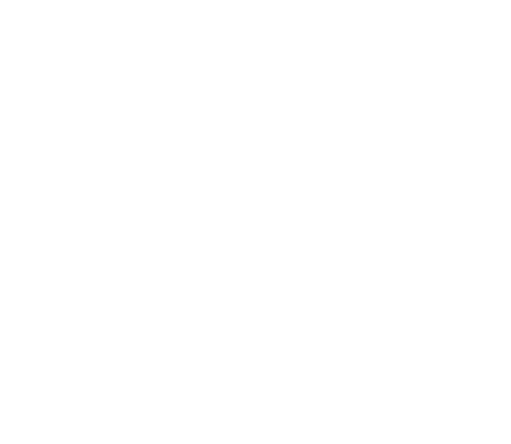 discas service icon